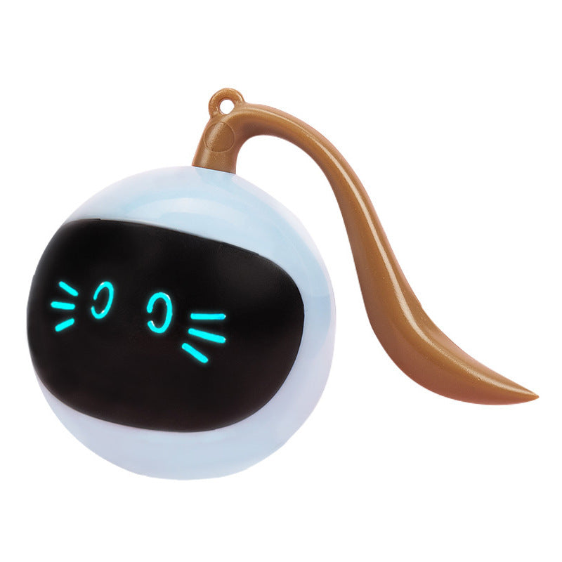 Interactive LED Pet Toy Ball for Happy Cats & Dogs