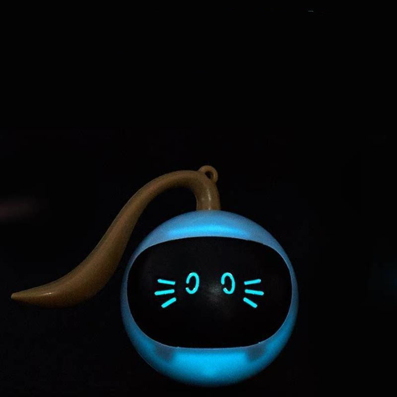 Interactive LED Pet Toy Ball for Happy Cats & Dogs