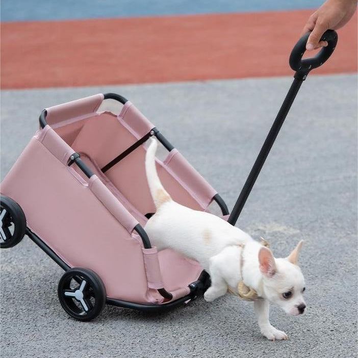 pet stroller, dog, cat, foldable, portable with a friendly shopper vibe.