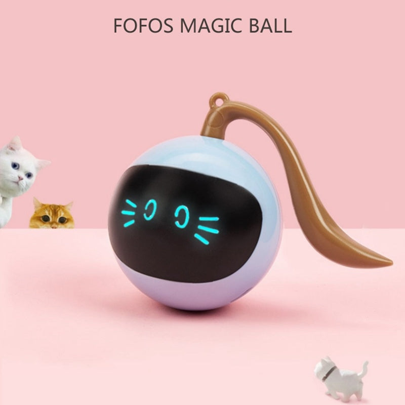 10 Best Eco-Friendly Pet Accessories for 2025