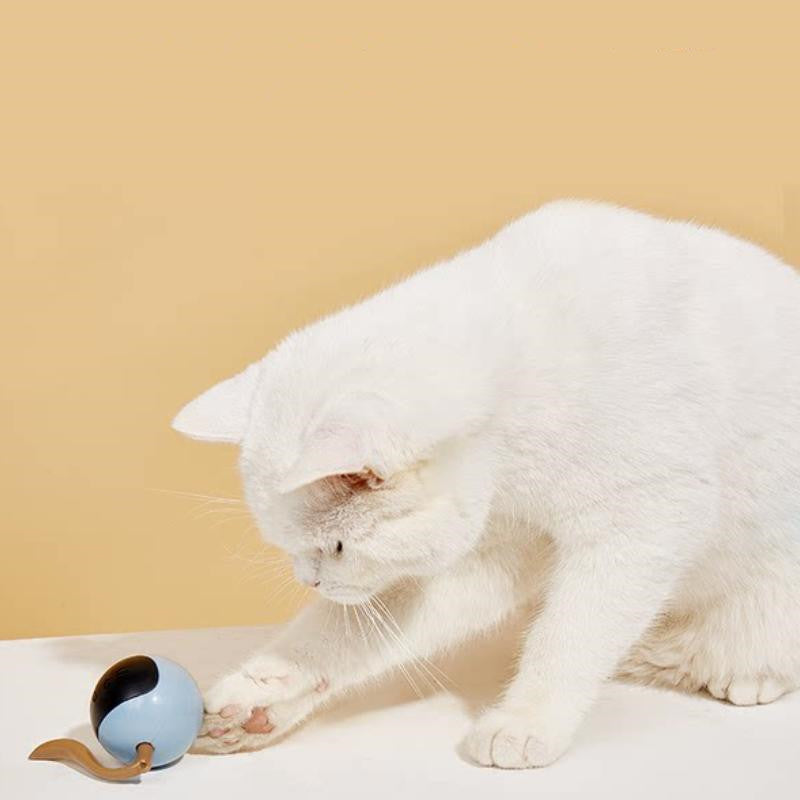 Interactive LED Pet Toy Ball for Happy Cats & Dogs