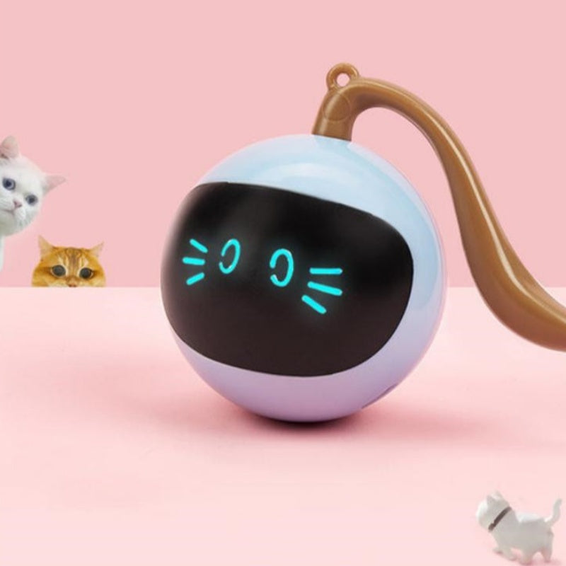 Interactive LED Pet Toy Ball for Happy Cats & Dogs